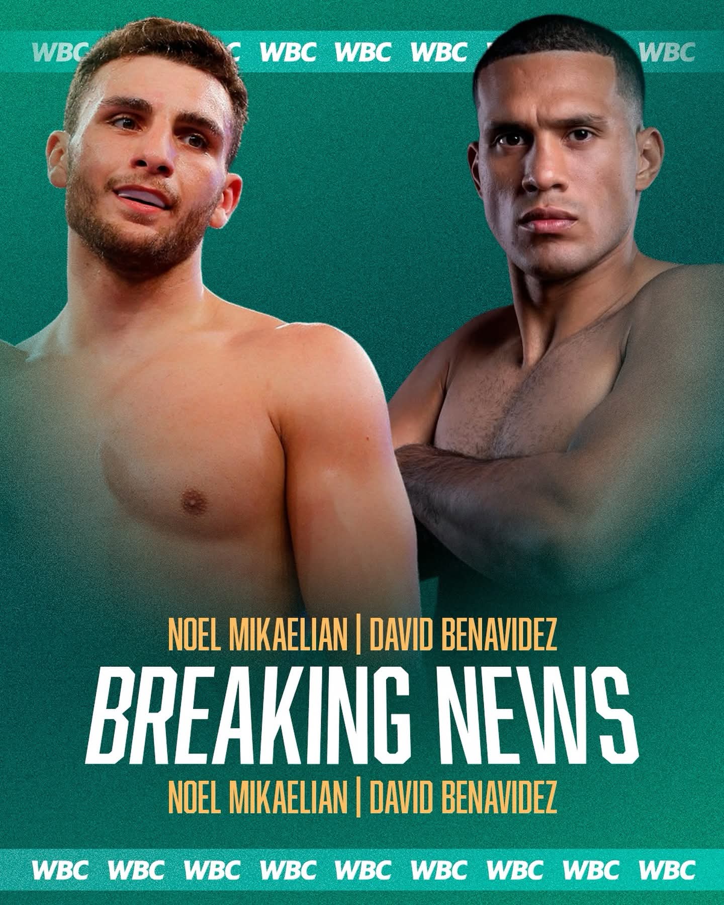 BREAKING: WBC Orders Mikaelian vs. Benavidez Mandatory Cruiserweight Clash